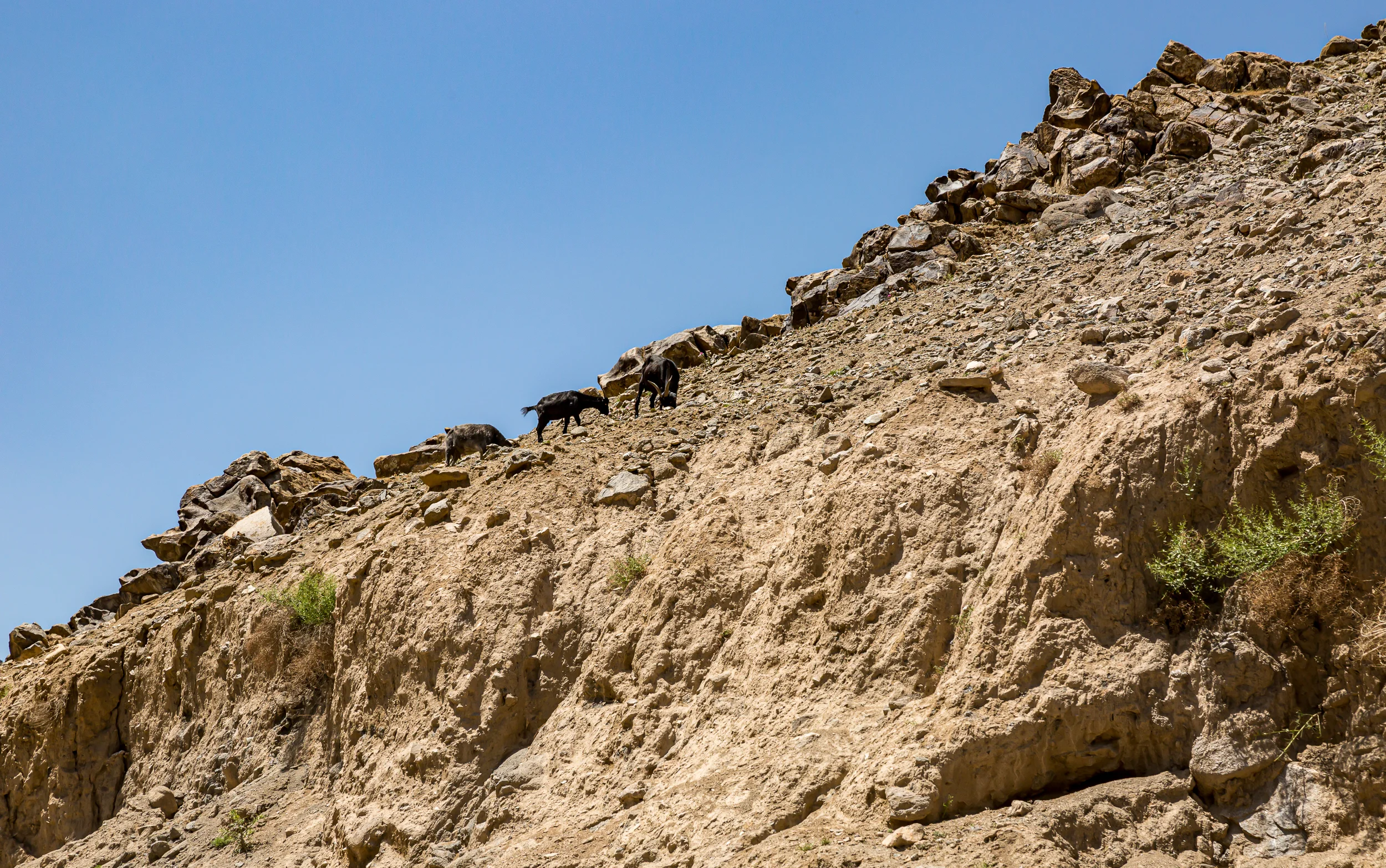 Dara Valley. Langar