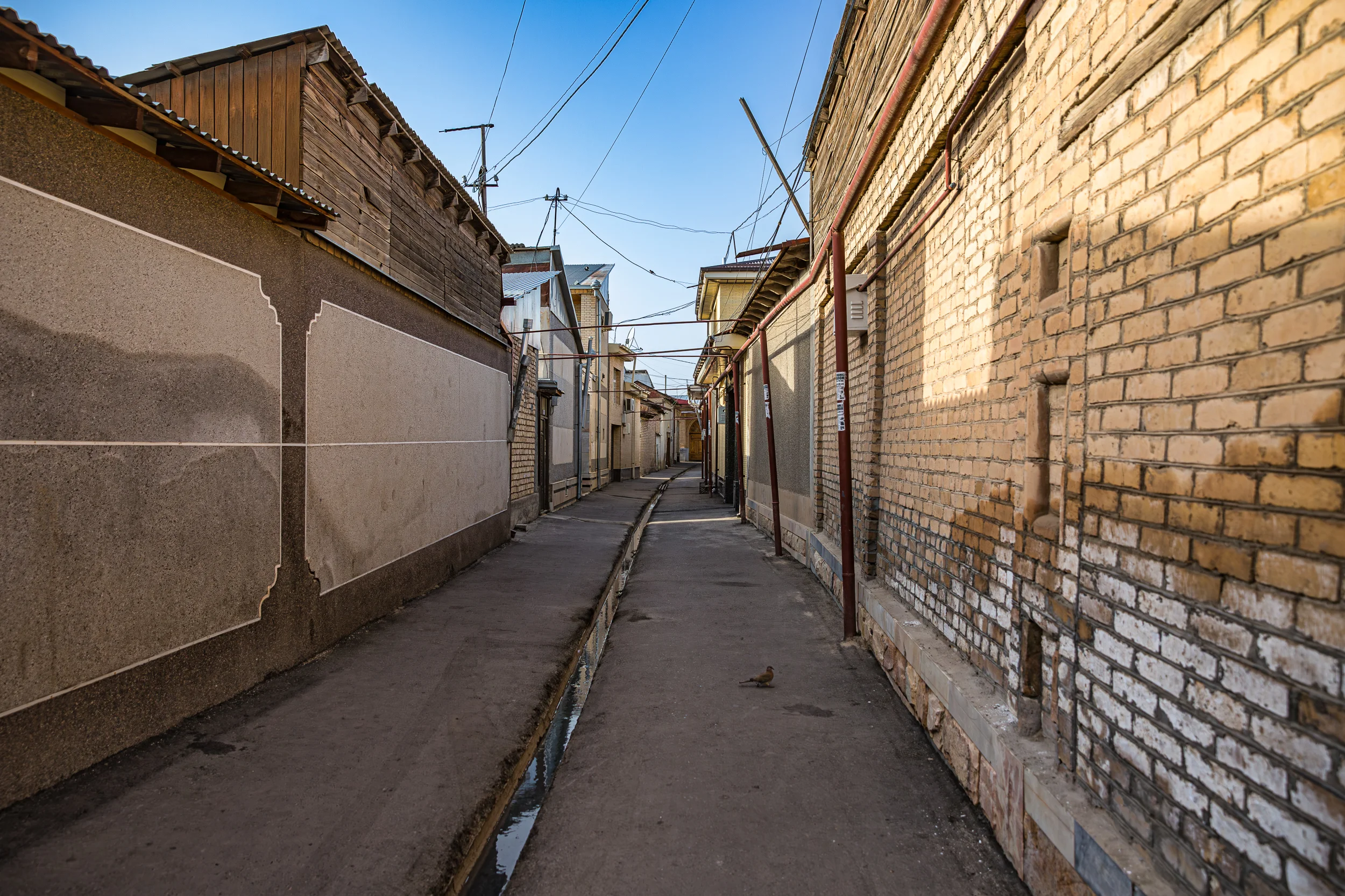 Samarkand. Streets of the old city