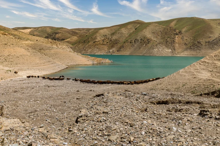 Panorama of the Zaamin reservoir. Part 1